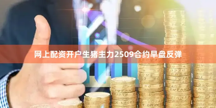 网上配资开户生猪主力2509合约早盘反弹