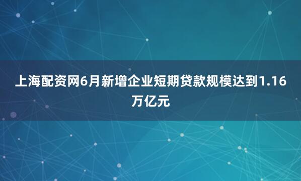 上海配资网6月新增企业短期贷款规模达到1.16万亿元