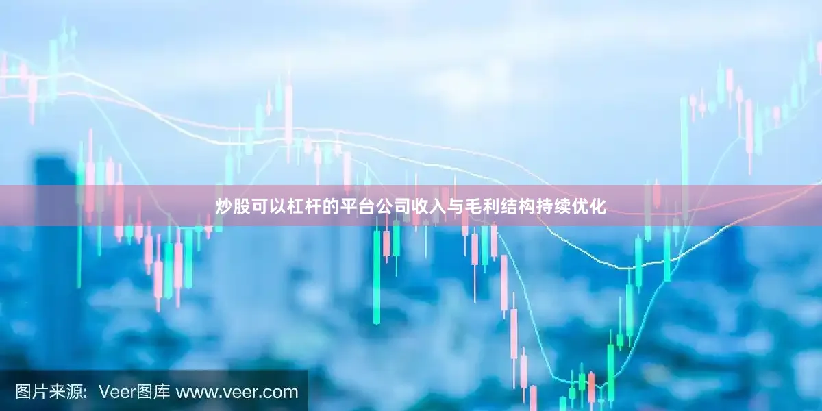 炒股可以杠杆的平台公司收入与毛利结构持续优化