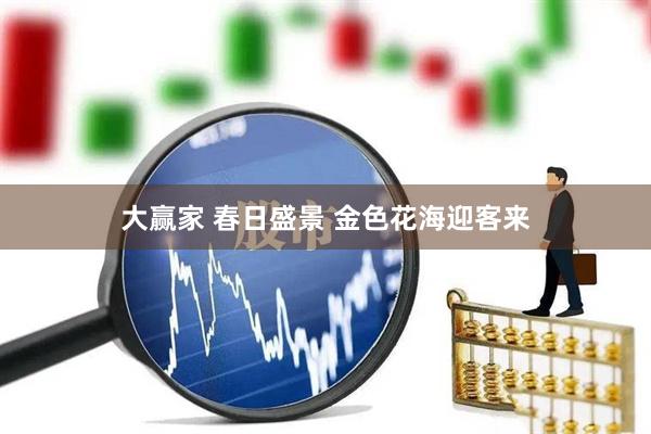 大赢家 春日盛景 金色花海迎客来
