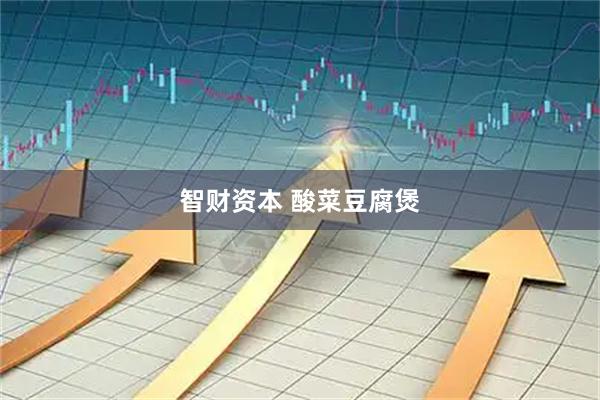智财资本 酸菜豆腐煲